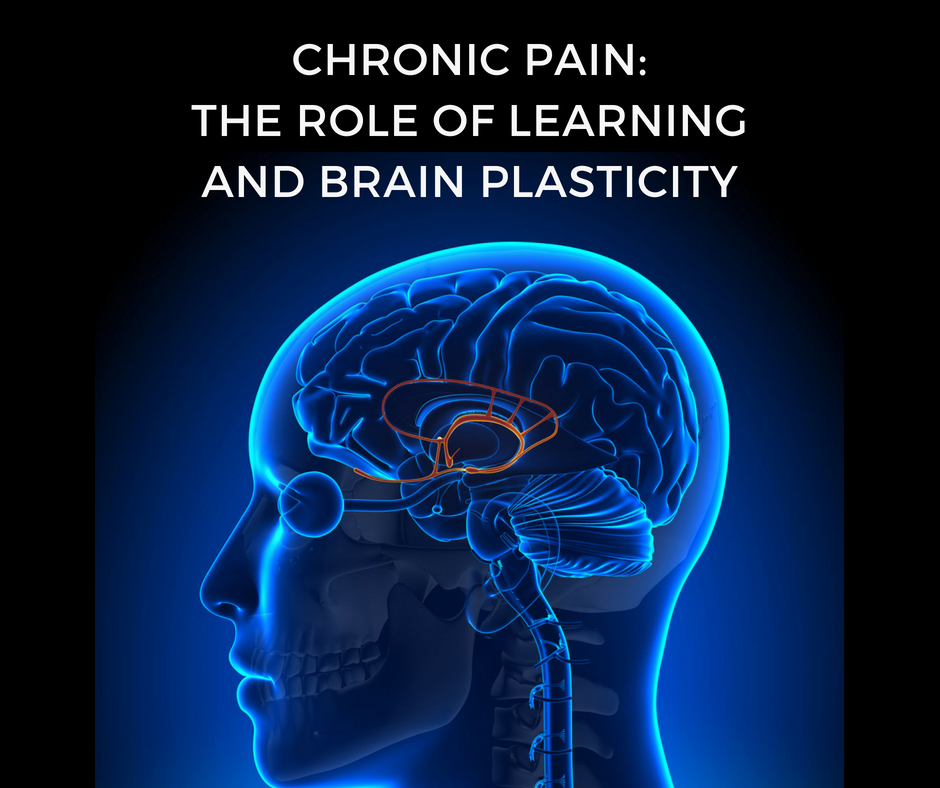 Chronic Pain The Role Of Learning And Brain Plasticity Yoga Research chronic-pain-the-role-of-learning-and-brain-plasticity-yoga-research